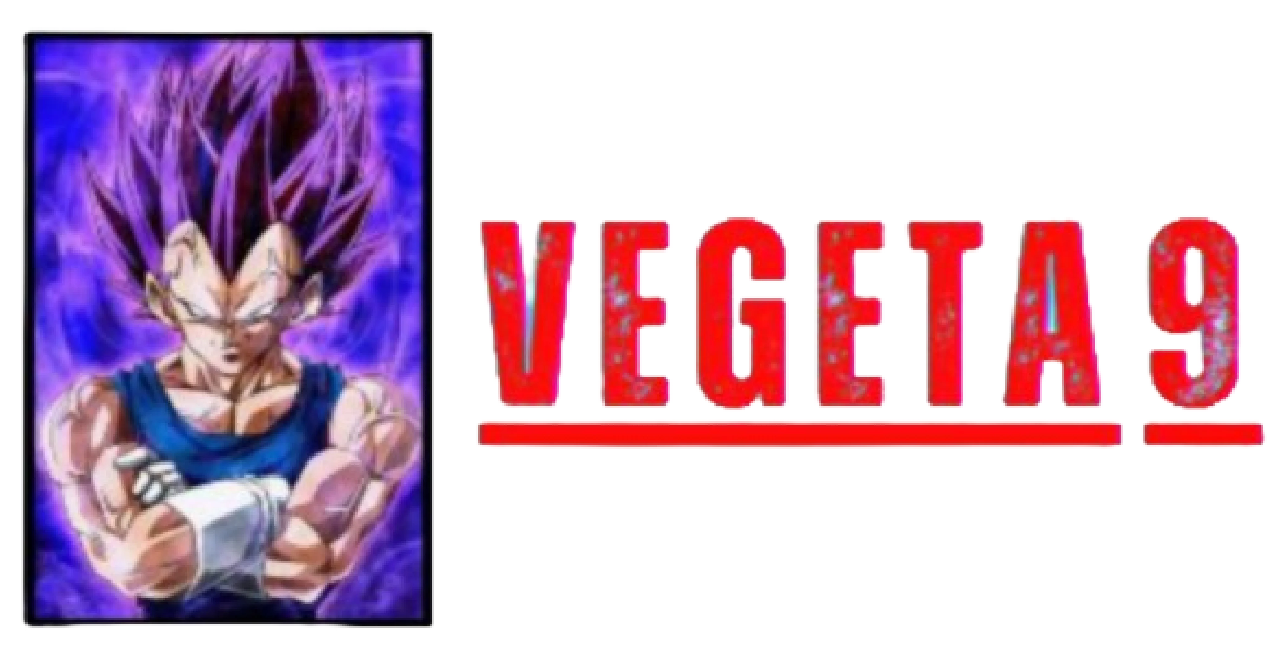 VEGETA9